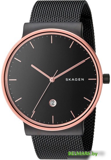Наручные часы Skagen SKW6296 - фото