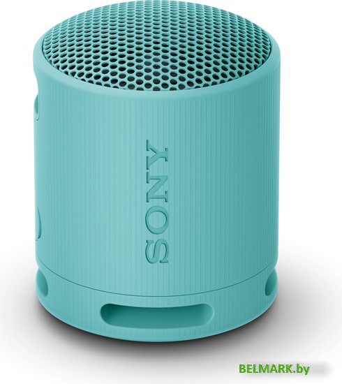 Беспроводная колонка Sony XB100 (голубой) - фото
