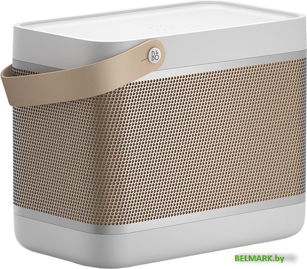 Беспроводная колонка Bang & Olufsen Beolit 20 (серый) - фото
