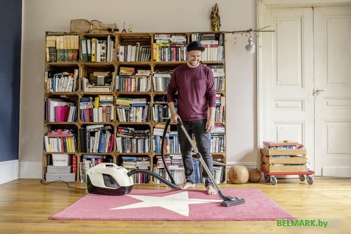 Пылесос Karcher DS 6 Plus 1.195-252.0 - фото2