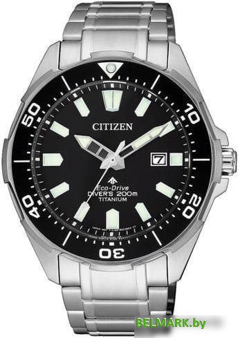 Наручные часы Citizen BN0200-81E - фото
