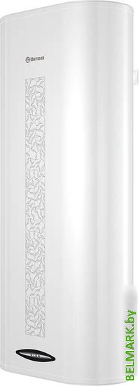 Накопительный электрический водонагреватель Thermex Dion 100 V - фото2