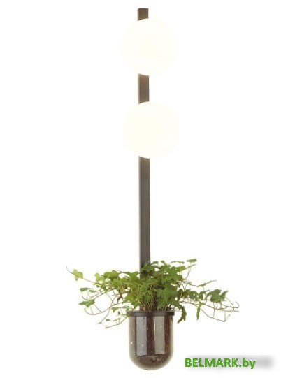 Бра Odeon Light Flower 4681/2WA - фото