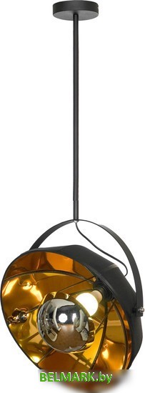 Подвесная люстра Lussole Klamath LSP-0556-C120 - фото