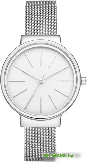 Наручные часы Skagen SKW2478 - фото
