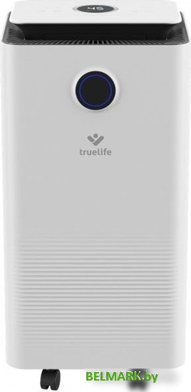 Осушитель воздуха TrueLife DH5 Touch - фото