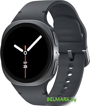 Умные часы Samsung Galaxy Watch8 40 мм LTE (графит) - фото