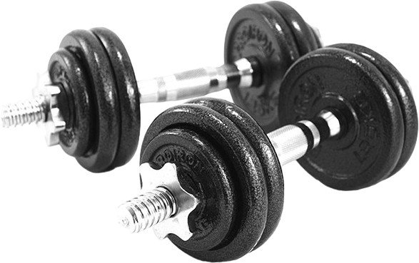 Набор гантелей Proiron Г2075Ч (2 шт) - фото