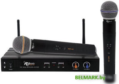 Микрофон Ritmix RWM-221 - фото