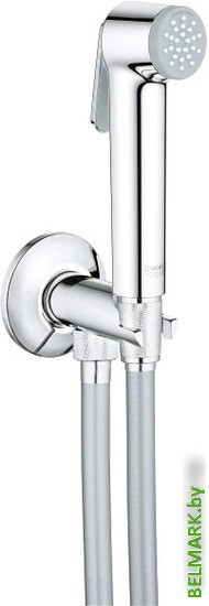 Душевой гарнитур Grohe Tempesta-F Trigger Spray 30 26358000 - фото