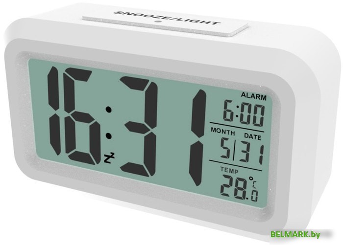 Радиочасы Ritmix CAT-100 (белый) - фото