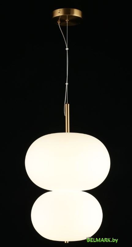 Подвесная люстра Aployt Adeli APL.646.06.20 - фото2