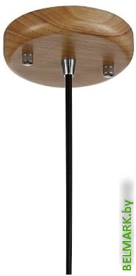 Подвесная люстра Favourite Pendenti 2015-1P - фото2