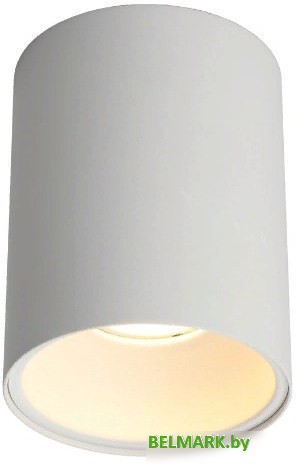 Спот Omnilux Cariano OML-101209-01 - фото