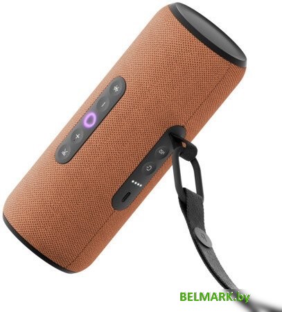 Умная колонка Яндекс Станция Стрит (оранжевый) - фото