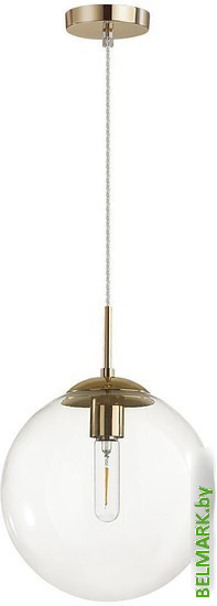 Подвесная люстра Lumion Summer 6509/1 - фото