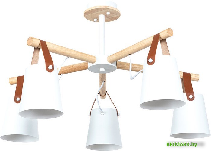 Люстра средней высоты Arte Lamp Thomas A7032PL-5WH - фото