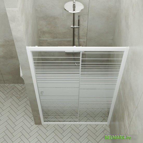 Душевая дверь Triton Слайд 120 - фото2