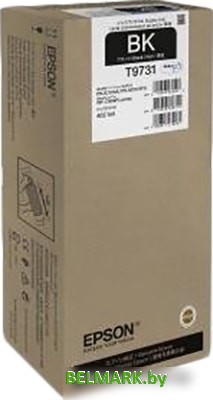 Чернила Epson C13T973100 - фото