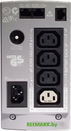 Источник бесперебойного питания APC Back-UPS CS 350VA (BK350EI) - фото2