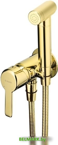 Гигиенический душ Deante Arnika BQA Z34M - фото