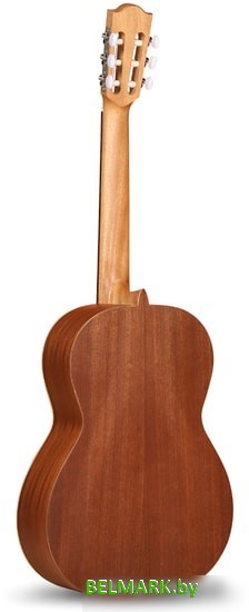 Акустическая гитара Alhambra Student Z-Nature - фото2