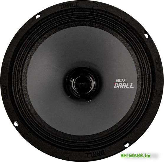 Широкополосная АС ACV DR8 Drall - фото2