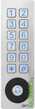 Контроллер доступа ZKTeco SKW-V[ID] - фото