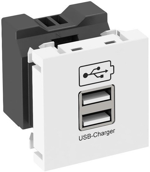 Розетка USB OBO Bettermann MTG-2UC1.2 RW1 6105291 - фото