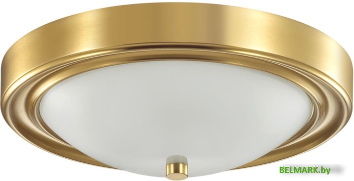 Припотолочная люстра Lumion Nina 5259/2C - фото