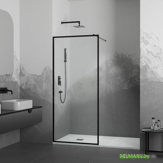 Душевая стенка RGW WA-012-B 35101212-84 120 (черный/прозрачное стекло) - фото