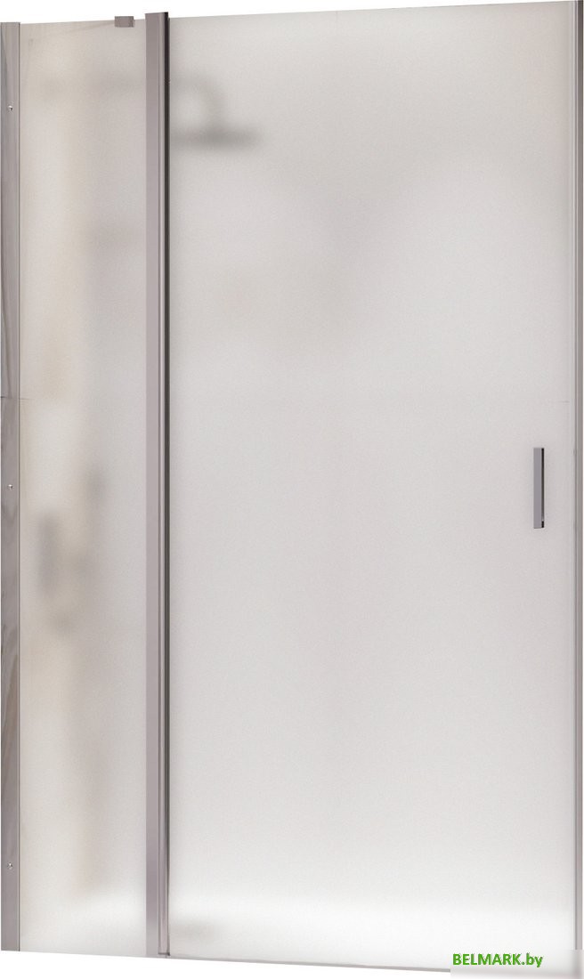 Душевая дверь RGW LE-004 351200412-21 - фото