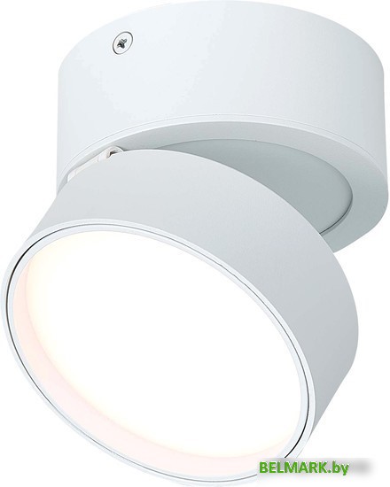 Припотолочная люстра ST Luce ST651.532.14 - фото