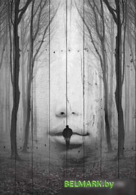 Картина White Wood B112-V-036-055-6.15 55x36 см - фото2