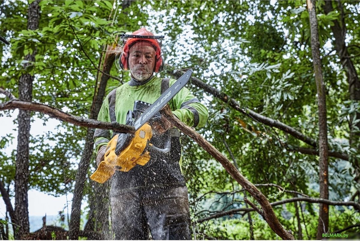 Аккумуляторная пила DeWalt DCMCS575X1 (с 1-им АКБ) - фото2