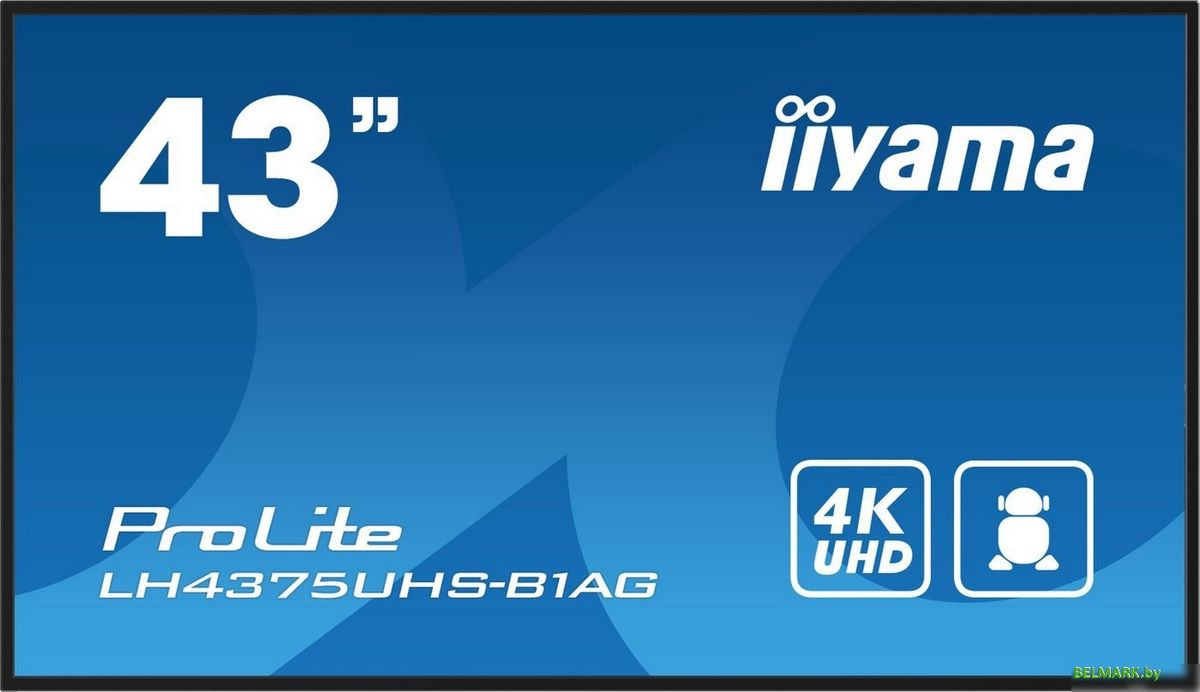 Информационная панель Iiyama ProLite LH4375UHS-B1AG - фото