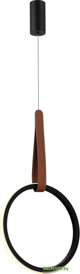 Подвесная люстра ST Luce SL6131.403.12 - фото2