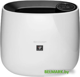 Очиститель воздуха Sharp FP-J31RB - фото