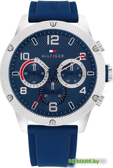 Наручные часы Tommy Hilfiger Blaze 1792027 - фото
