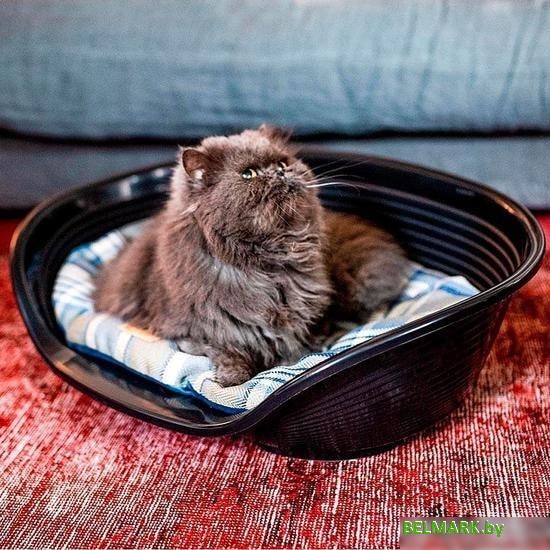 Лежак Ferplast Scott 89/10 83628901 (синий) - фото2