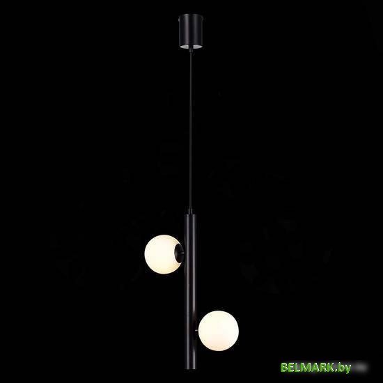 Точечный светильник ST Luce SL1185.403.02 - фото