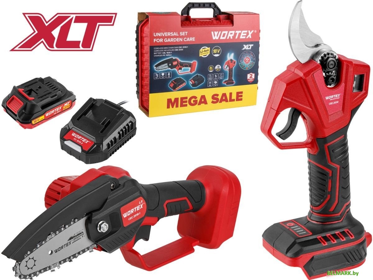 Wortex 1329851 (цепная пила, секатор, 1 АКБ, кейс) - фото