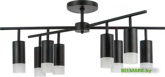 Люстра средней высоты Lightstar Rullo LR7283781 - фото