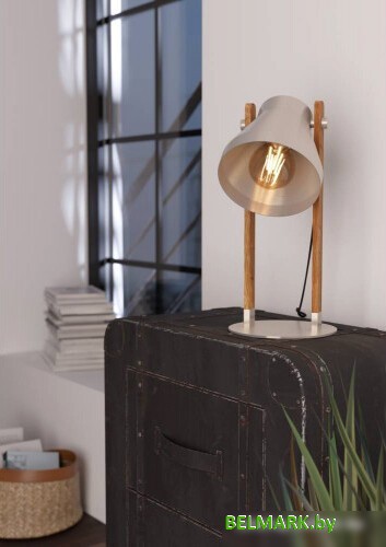 Настольная лампа Eglo Cawton 43953 - фото2