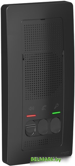 Абонентская панель Schneider Electric Blanca BLNDA000016 - фото