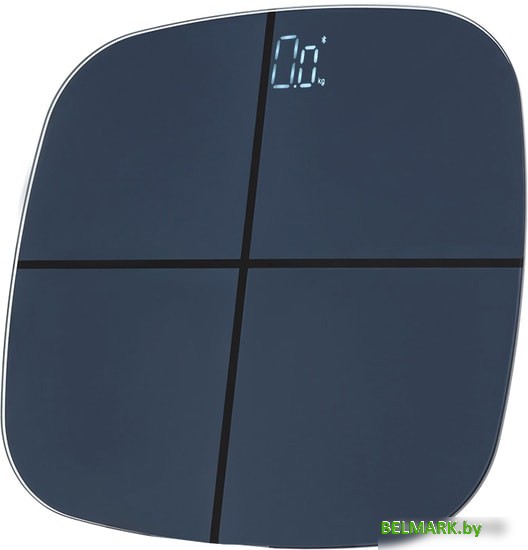 Напольные весы Halsa HSL-H-211B - фото