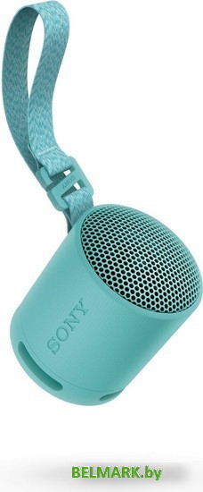 Беспроводная колонка Sony XB100 (голубой) - фото2