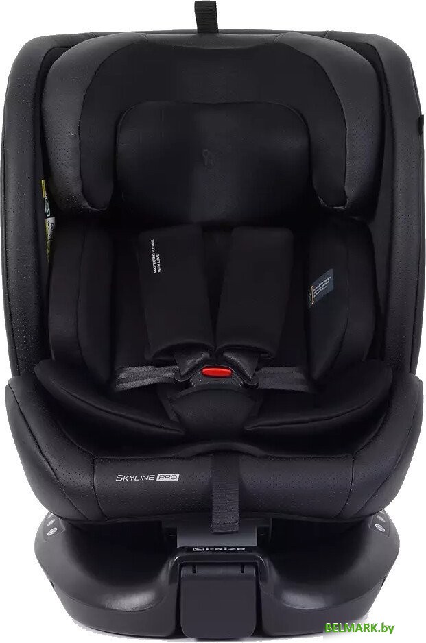 Детское автокресло Rant Skyline Pro YC32 (черный) - фото