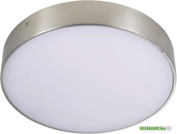 Люстра-тарелка Aployt Evon APL.0114.19.24 - фото