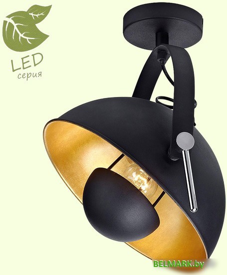 Припотолочная люстра Lussole Loft Sherrelwood GRLSP-9825 - фото